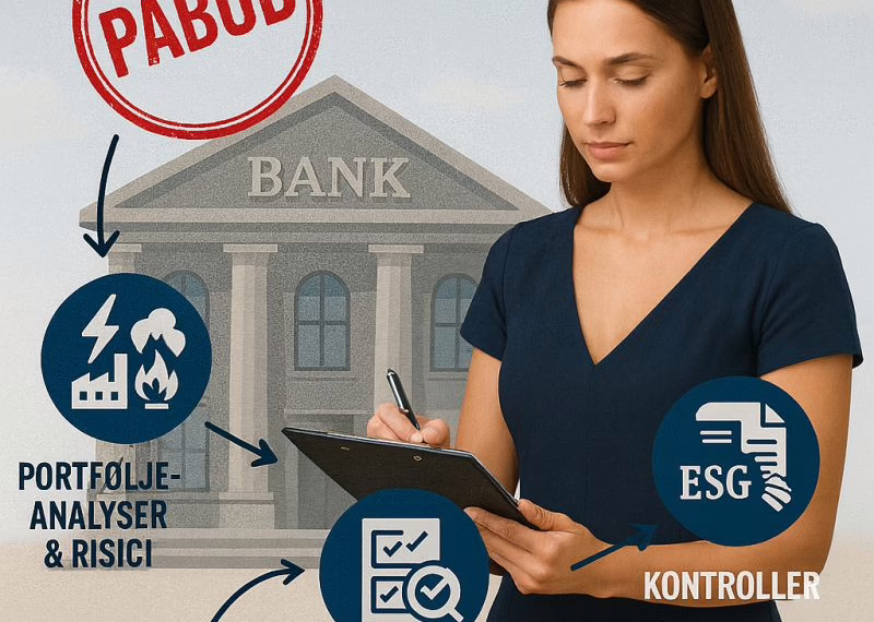 Påbud til stor dansk bank omkring kreditvurdering og ESG