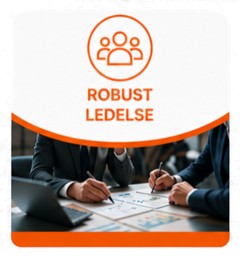 Robust Ledelse